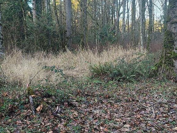 2nd image of 35750 Military Road S