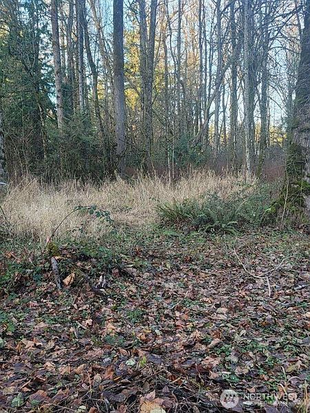 2nd image of 35750 Military Road S