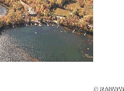2nd image of 10036 N Timber Trail Ln