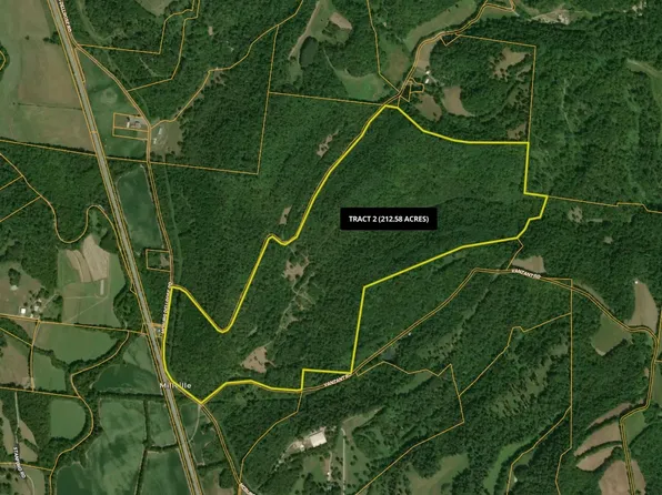 0 McBurg Dellrose Rd Lot 2, Dellrose, TN 38453