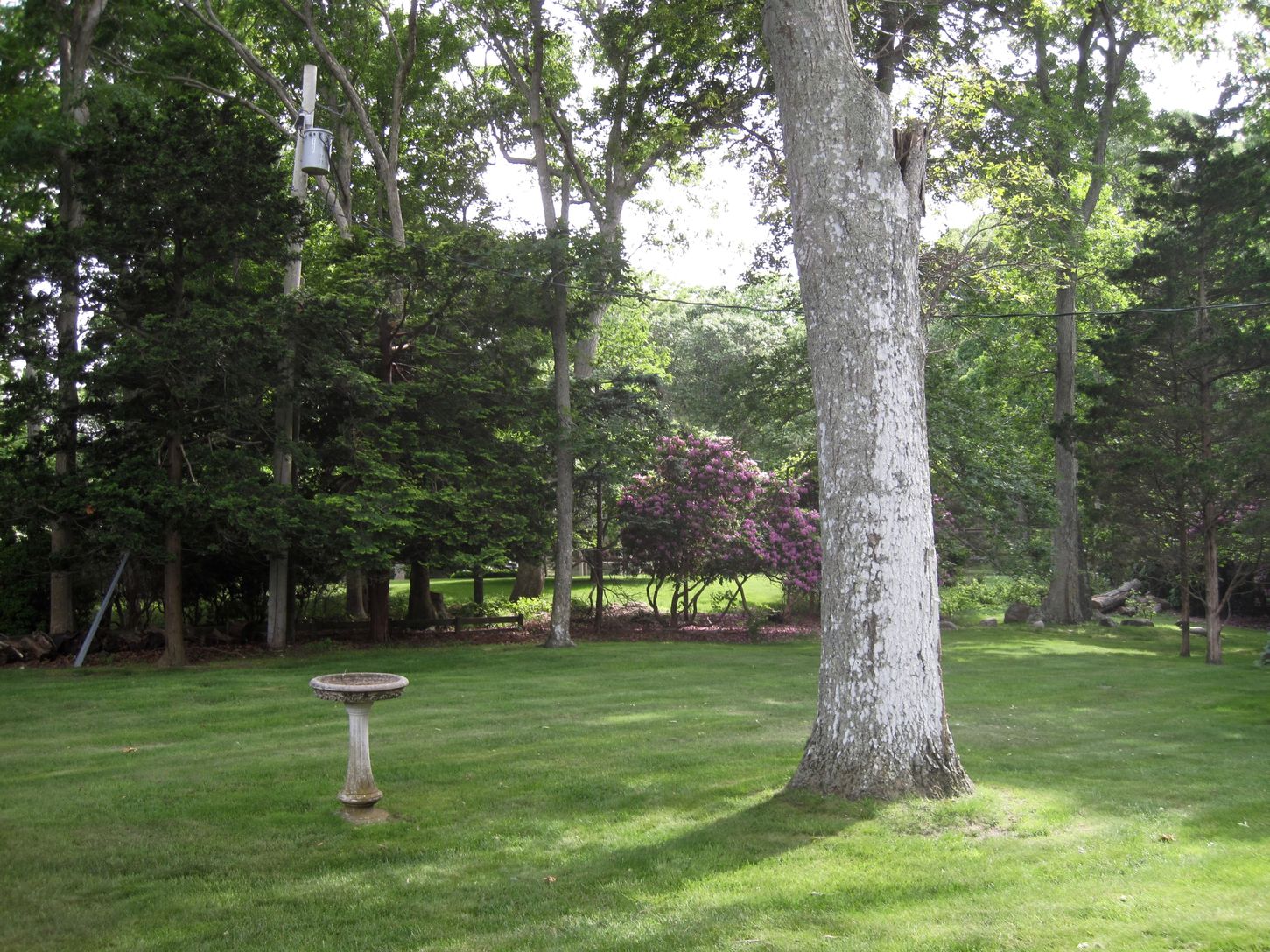 Lovely Grounds