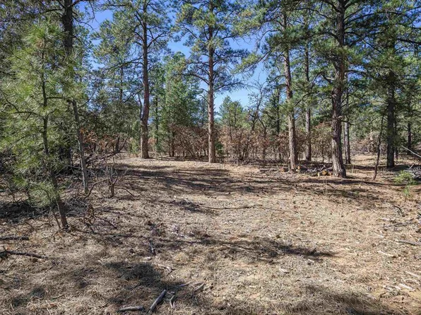 17990 Kings Road, Weston, CO 81082