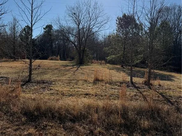 5940 Coble Church Rd Lot 20, Liberty, NC 27298