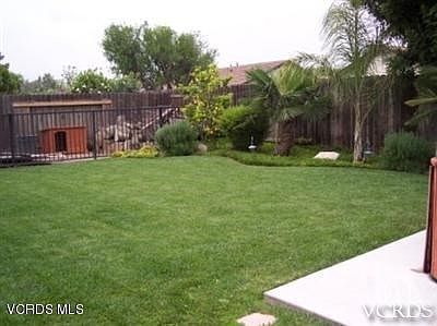 Willow View backyard