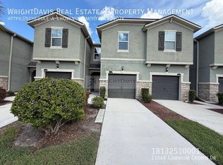 11648 Cambium Crown Dr, Riverview, FL 33569