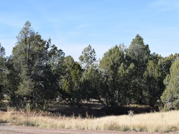 2145 Graphite Rd, Clay Springs, AZ 85923