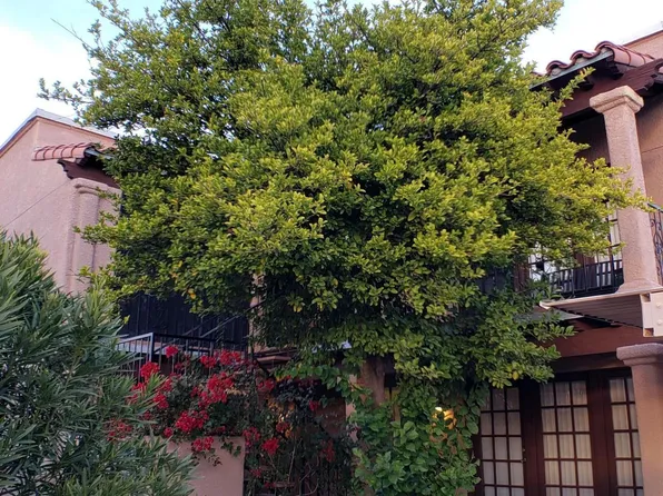 627 E Jacinto St, Tucson, AZ 85705