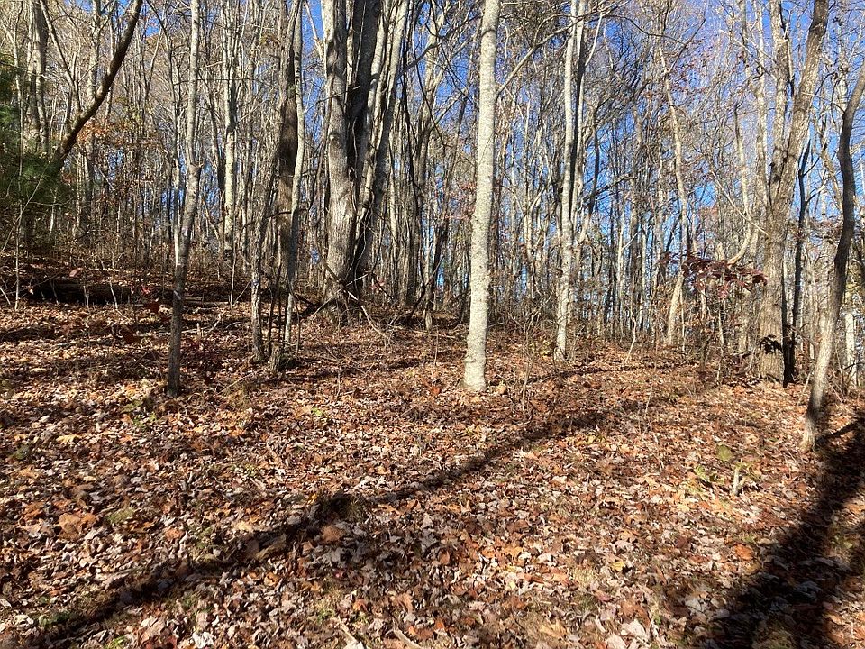 2nd image of LOT 42 E Cliff Rd