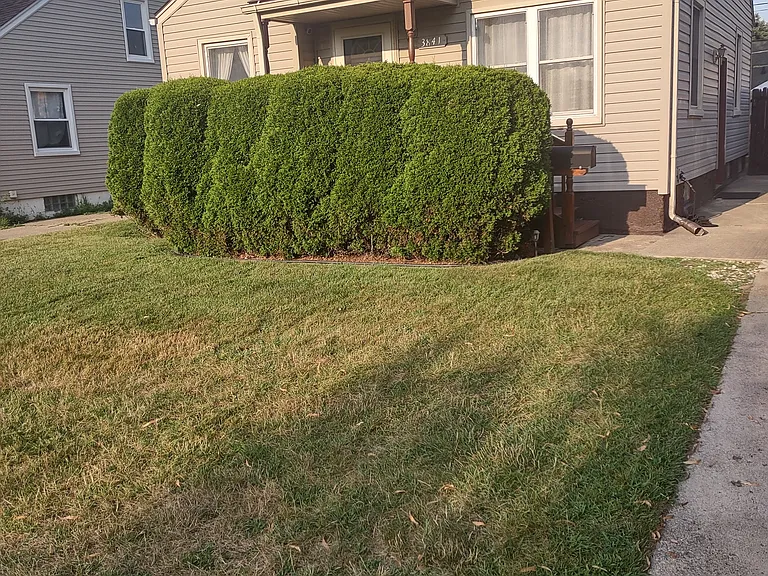 3841 S Hubbard St — Photo 6