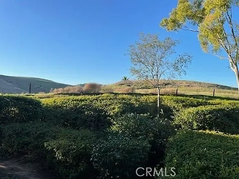 2 bed, 1.5 bath, 1041 sqft, $1,500 — Photo 3