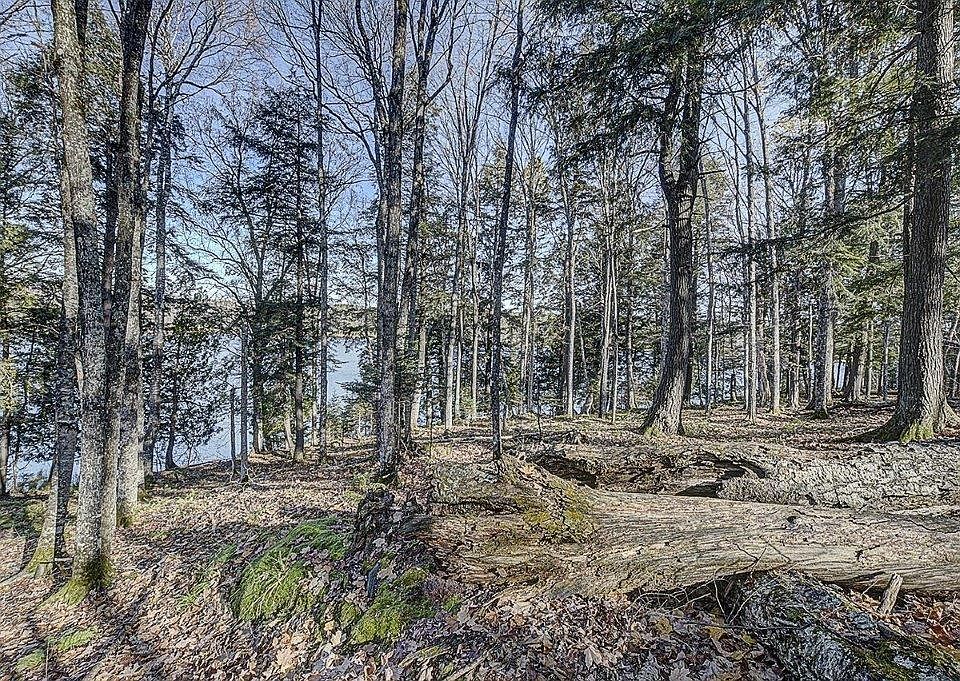 On Timber Wolf Rd LOT 31, Presque Isle, WI 54557 Zillow