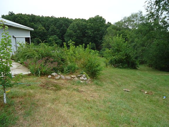 back yard, woods included