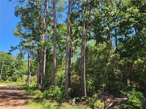 LOT 1 Coral Bean Ln, Plantersville, TX 77363