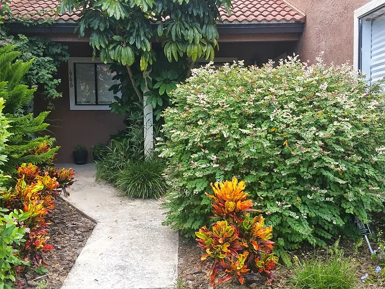 662 Trinidad Ct #662 — Photo 36