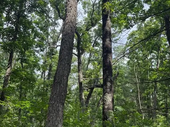 6230 S Evergreen Dr, Newaygo, MI 49337