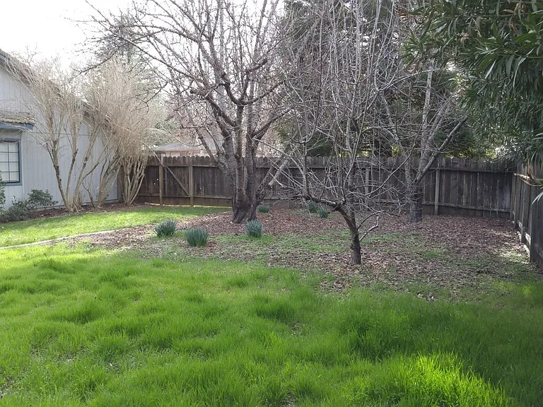 6827 Creekside St — Photo 20