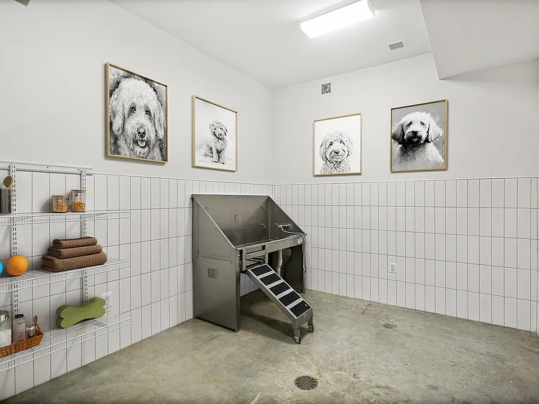 Pet Spa