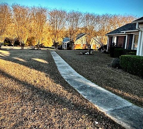 2nd image of 110 Berry Patch Ln