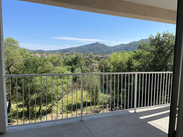 31293 Taylor Ln — Photo 16