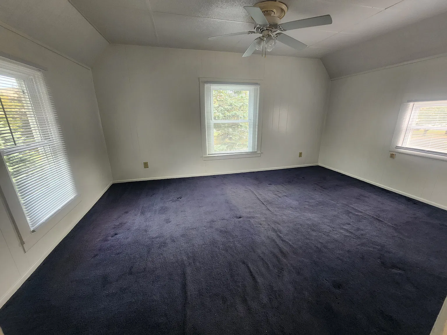 1 bed, 350 sqft, $600 — Photo 4