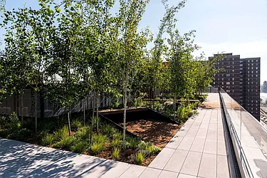 Rented by Bold Marketing