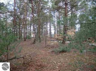 Brook Ave, Kaleva, MI 49645