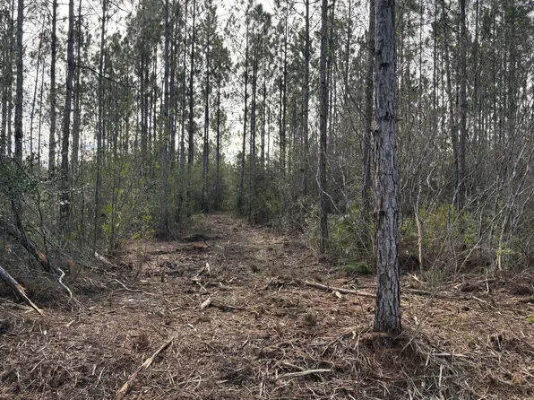Herman Ladner Rd #15, Saucier, MS 39574