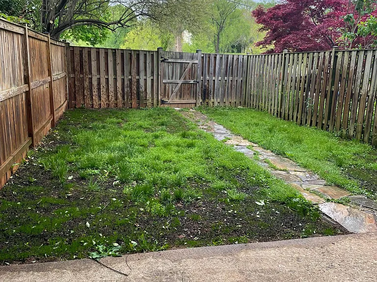 Fenced-in backyard