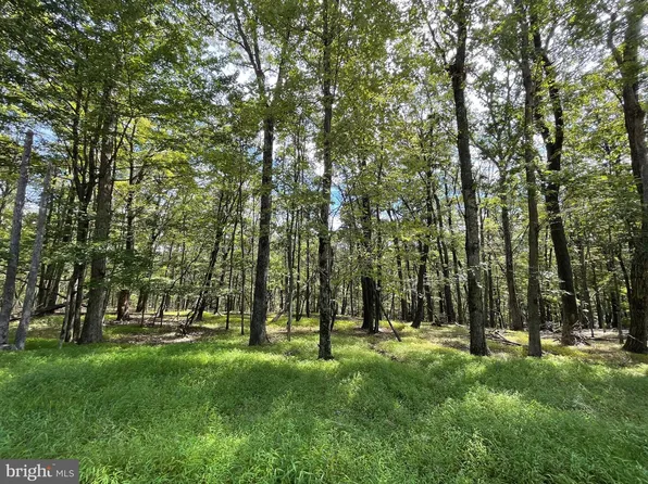 116 Spring Mountain Dr, Zion Grove, PA 17985