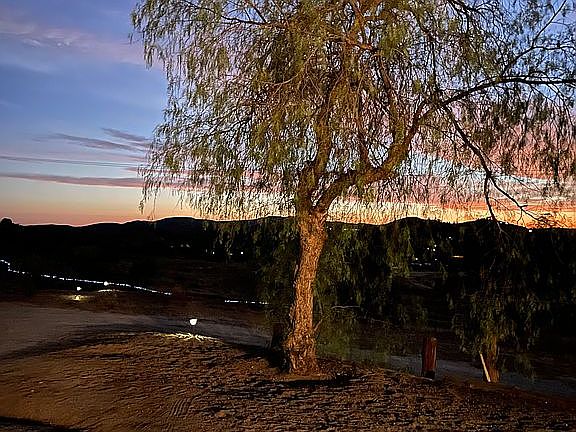 Top of driveway view 