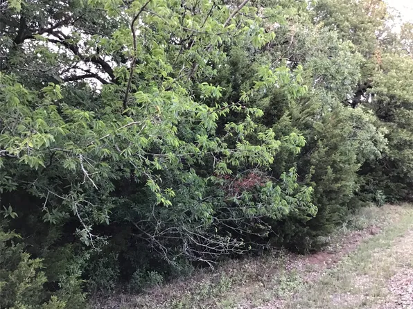 44021 Fringewood Dr, Whitney, TX 76692