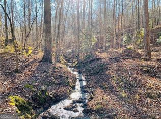 49 Old Stamp Mill Rd, Dahlonega, GA 30533