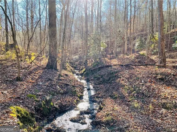 49 Old Stamp Mill Rd, Dahlonega, GA 30533