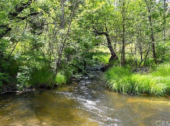 Beautiful Fresno River~