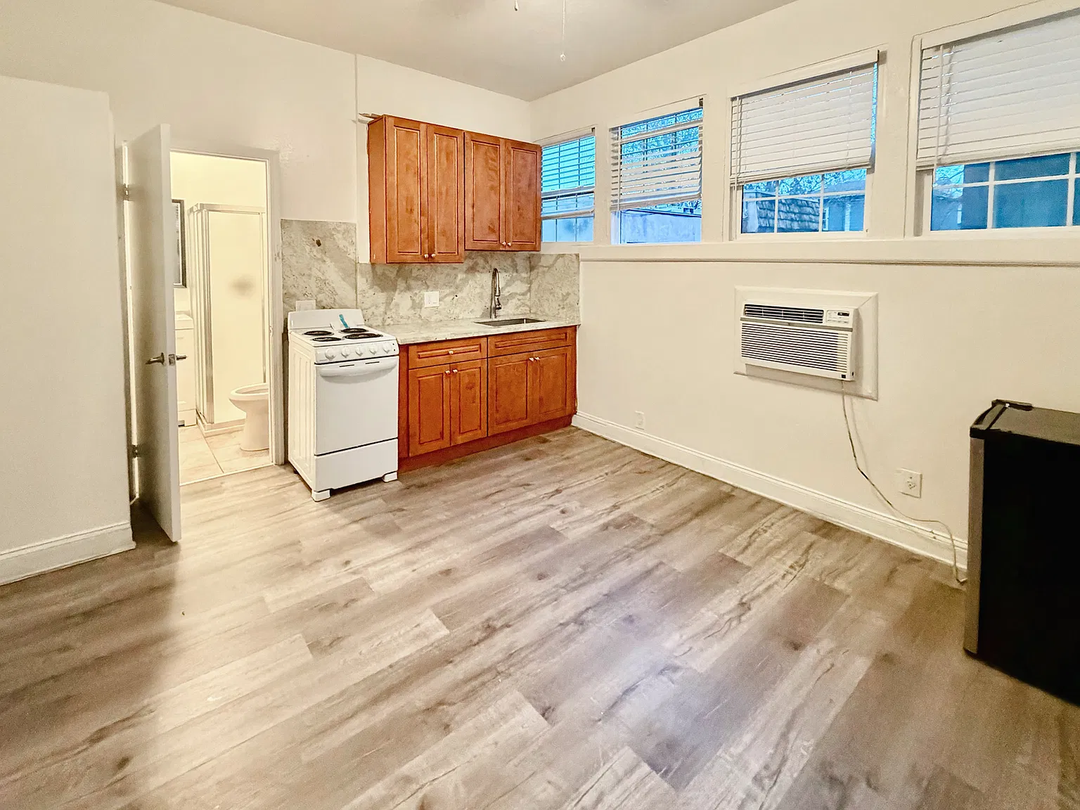 Studio, 300 sqft, $995 — Photo 1