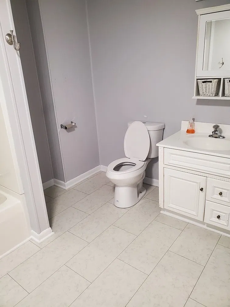 1 bed, 700 sqft, $1,250 — Photo 3