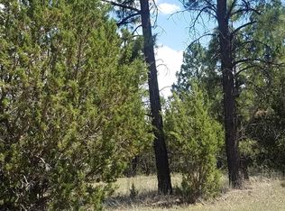 1977 Chevelon Rd, Overgaard, AZ 85933