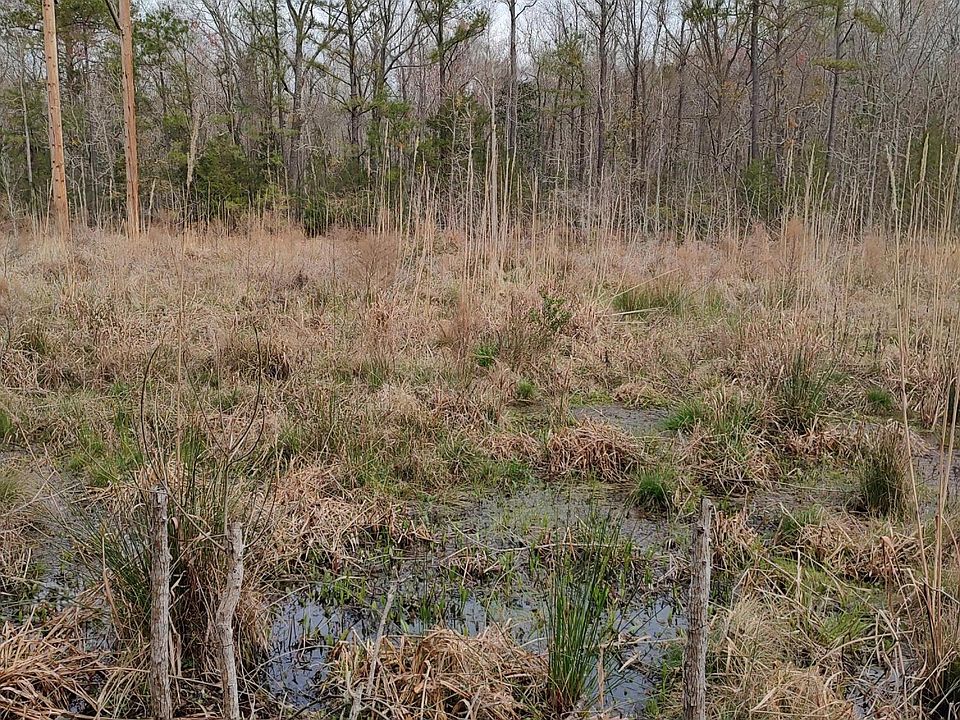 2nd image of 7096 Pumpkinseed Dr