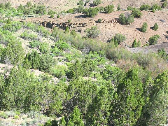 5th image of 7800 E Highway 6