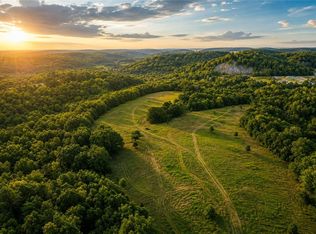 1029 Bear Hollow Rd, Pineville, MO 64856