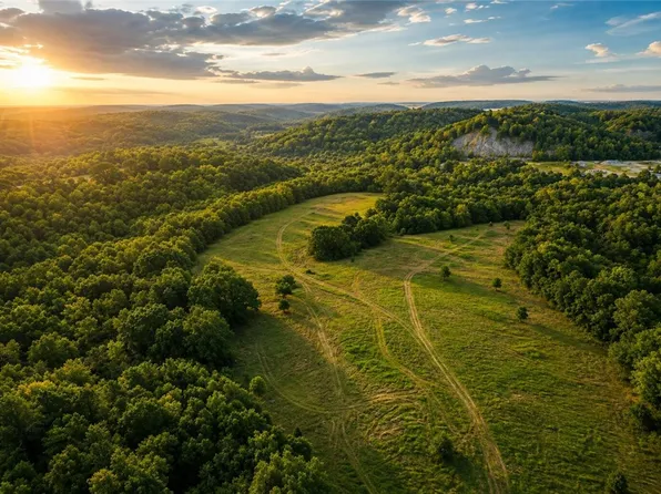 1029 Bear Hollow Rd, Pineville, MO 64856
