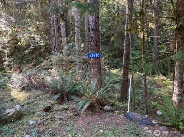 63416 E Ross Place, Marblemount, WA 98267
