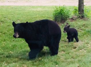 23387 Cranberry Marsh Rd, Webster, WI 54893