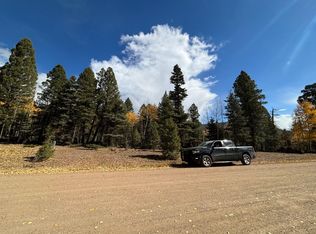 Royal Ave, Angel Fire, NM 87710