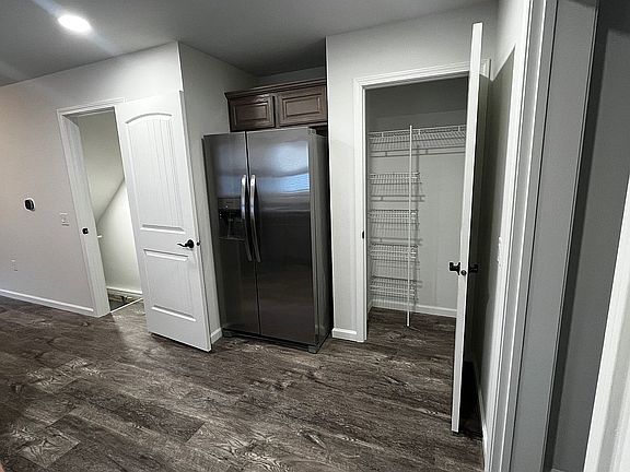 Kitchen Pantry and Fridge