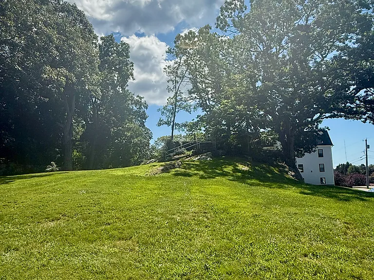 Front yard