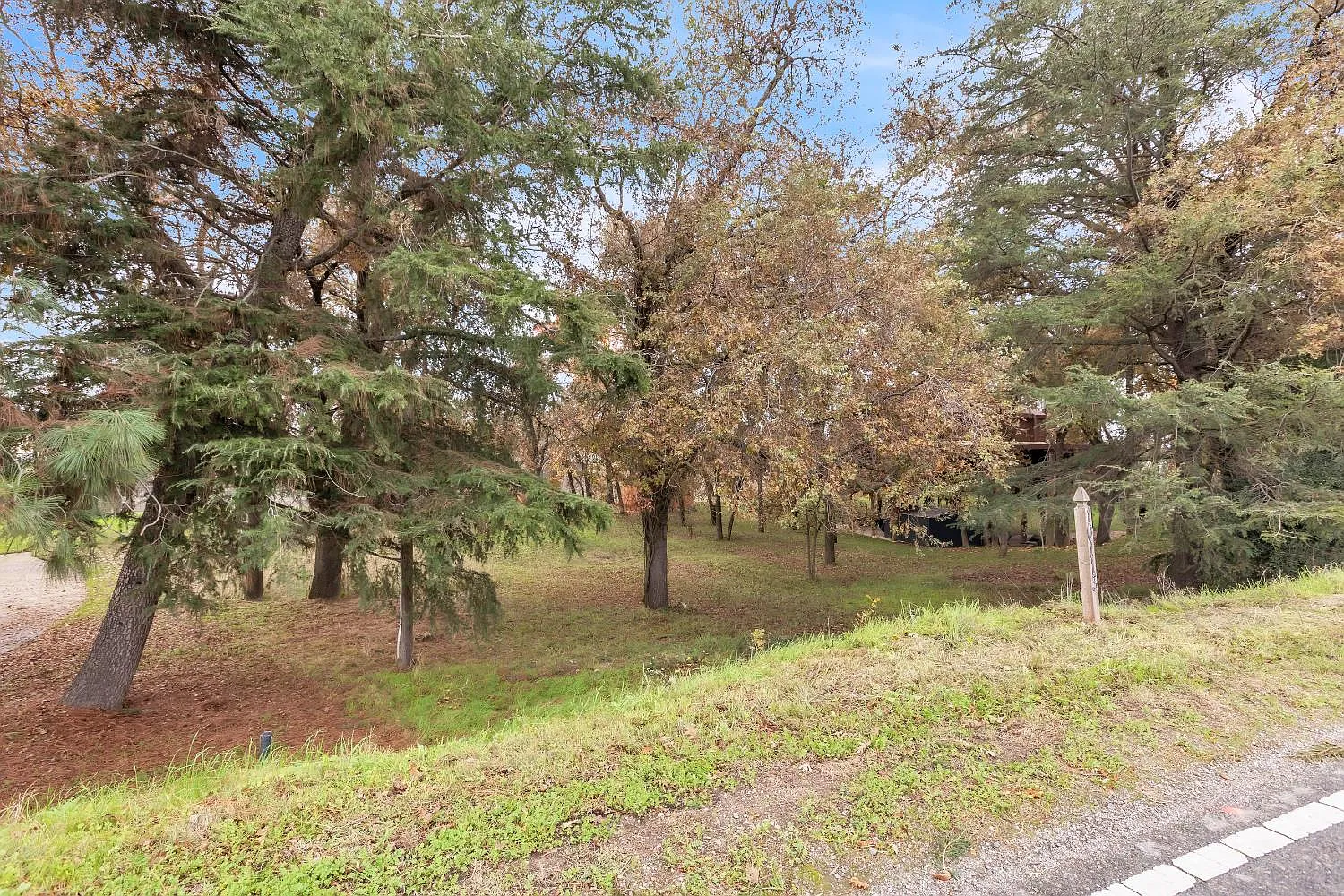 10113 Garden Hwy photo 1