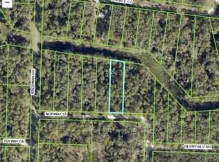 7200 Norway St, Webster, FL 33597