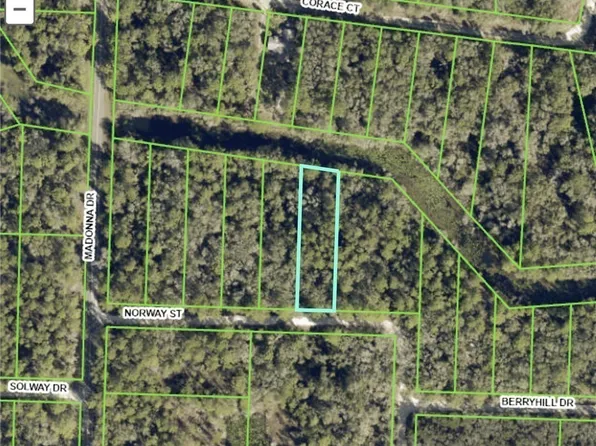 7200 Norway St, Webster, FL 33597