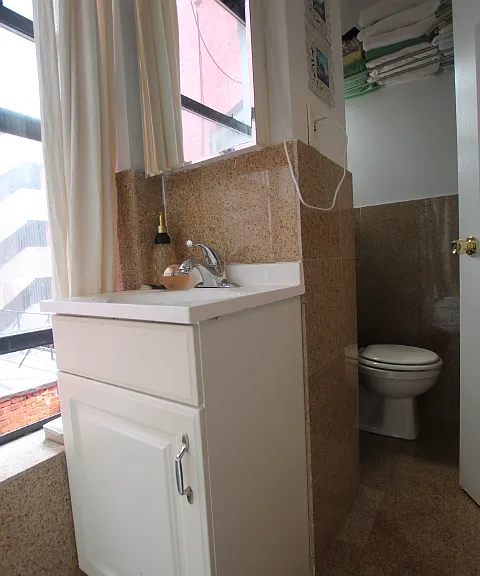 442 3rd Ave #3C — Photo 8